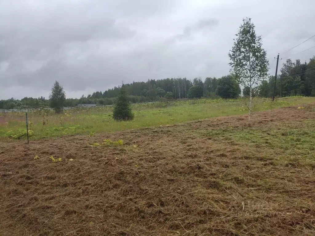 Участок в Московская область, Рузский городской округ, д. Нововолково ... - Фото 0