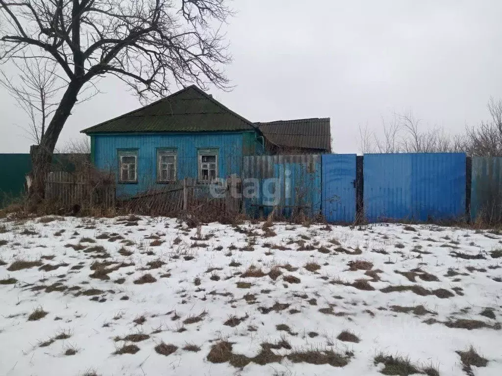 Дом в Белгородская область, Волоконовский район, Староивановское ... - Фото 0