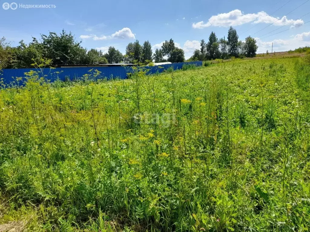 Участок в Брянский район, Глинищевское сельское поселение, село ... - Фото 1