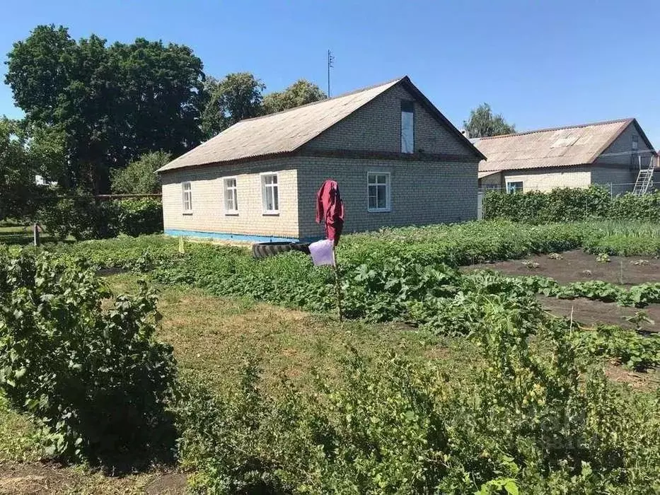 Дом в Тамбовская область, Ржаксинский муниципальный округ, пос. Чакино ... - Фото 1