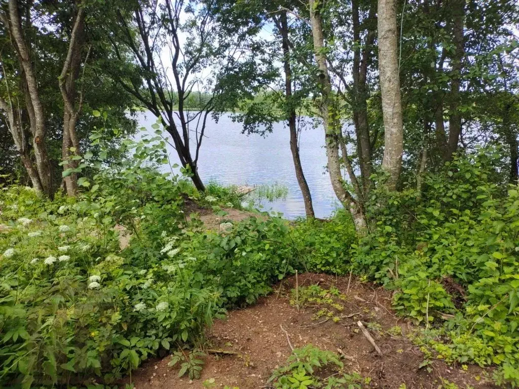 Дом в Тверская область, Пеновский муниципальный округ, с. Ворошилово ... - Фото 2
