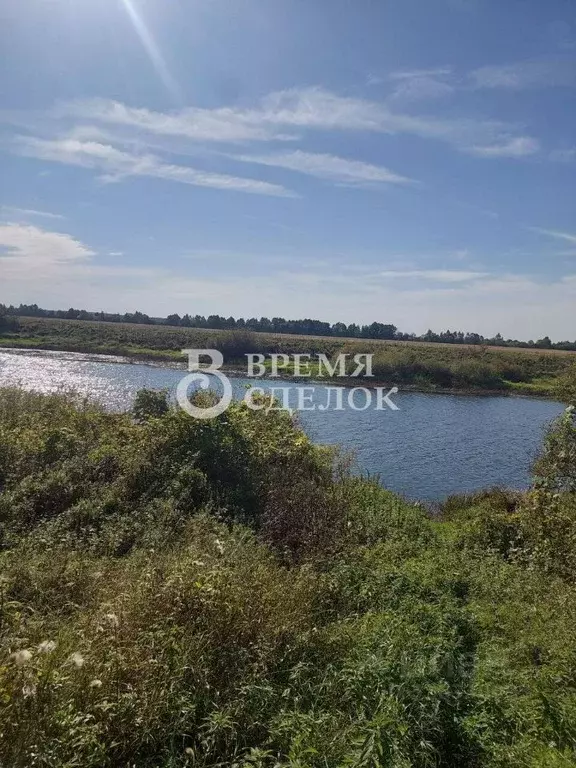 Участок в Владимирская область, Камешковский муниципальный округ, д. ... - Фото 1