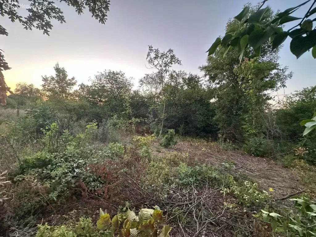 Участок в Крымский район, Киевское сельское поселение, СТ Дружба, ... - Фото 2