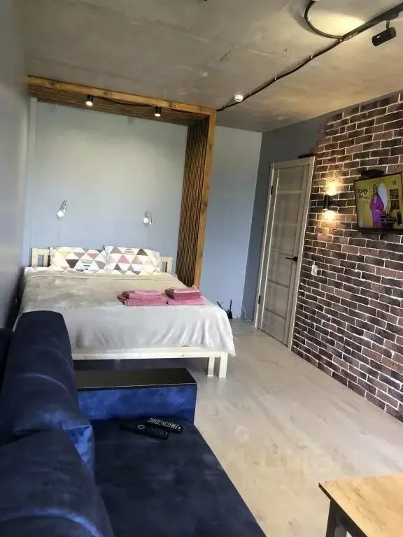 1-к кв. Псковская область, Псковский район, Завеличенская волость, д. ... - Фото 2