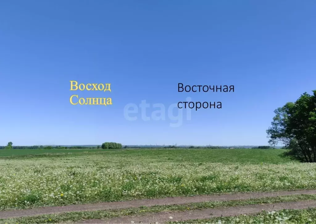Участок в Башкортостан, Уфимский район, Михайловский сельсовет, Озерки ... - Фото 1