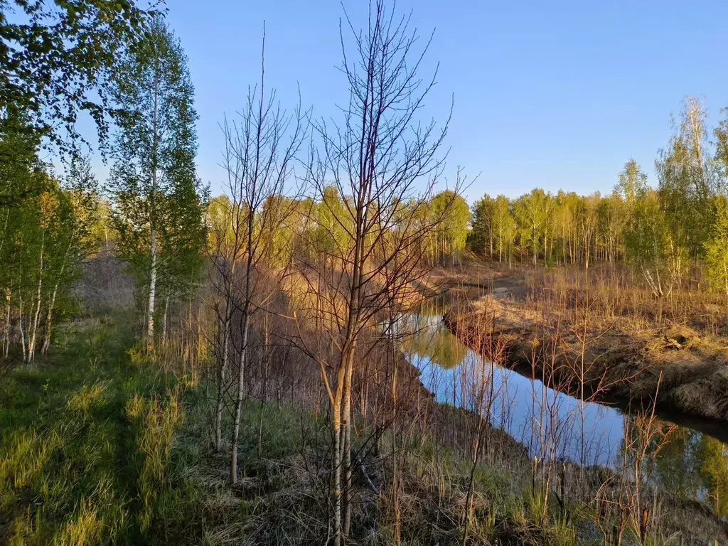 Участок в Тюменская область, Тюменский район, с. Каменка  (10.0 сот.) - Фото 0