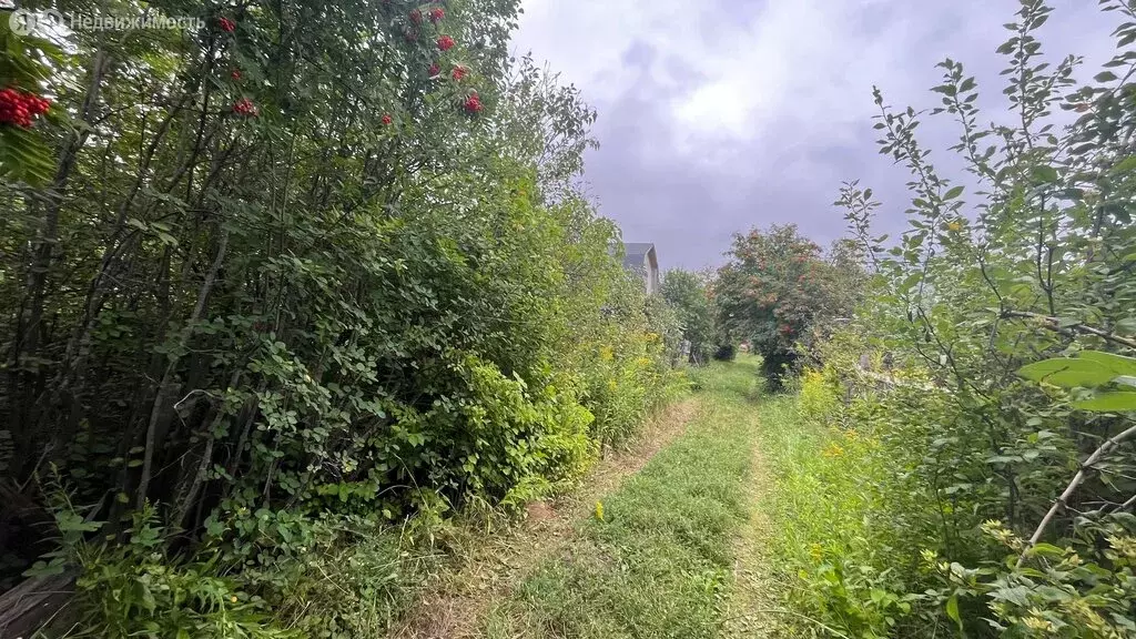 Участок в Арзамас, СНТ № 31, 18-я линия, 18 (5.5 м) - Фото 1