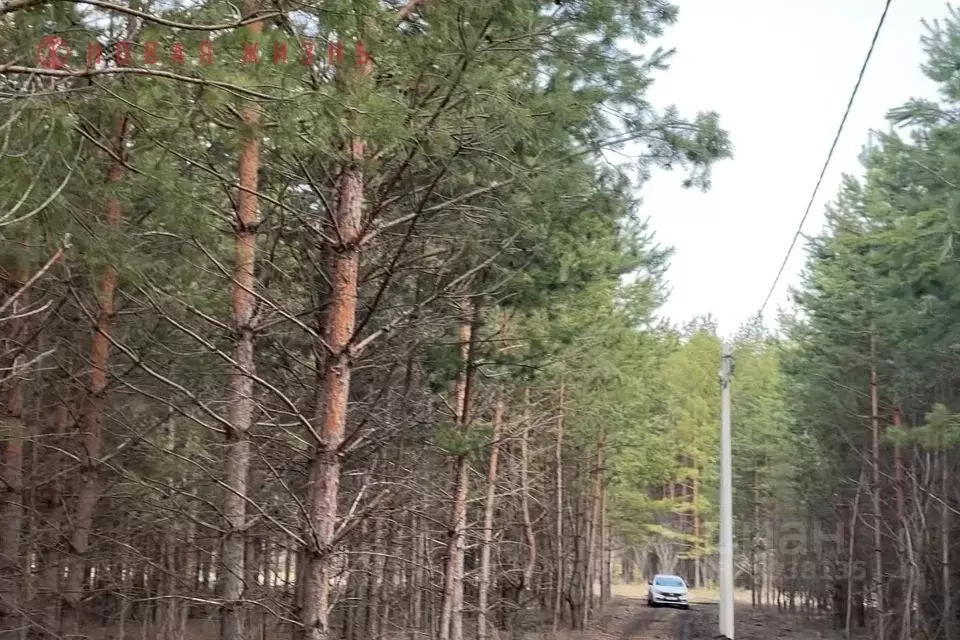 Участок в Самарская область, Волжский район, Курумоч с/пос, пос. ... - Фото 2