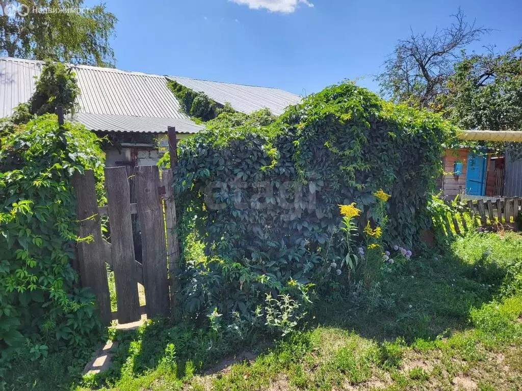 1-комнатная квартира: Саратов, посёлок Семхоз, улица 1-я Гусёлка, 23 ... - Фото 1