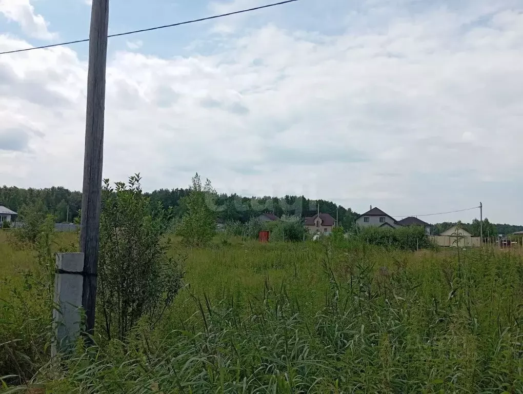 Участок в Курганская область, Кетовский муниципальный округ, Хуторок ... - Фото 1