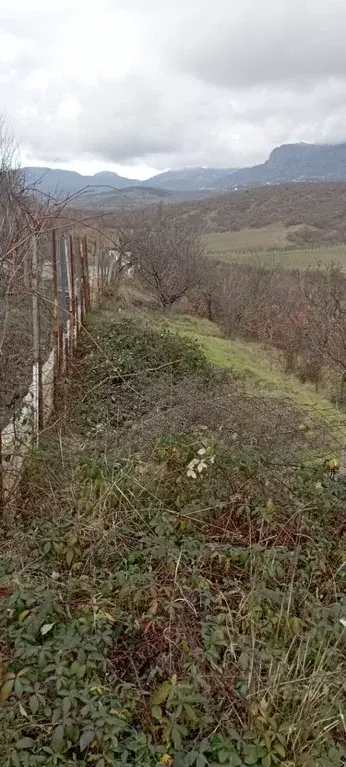 Участок в Крым, Алушта ул. Сиреневая, 5 (3.0 сот.) - Фото 1