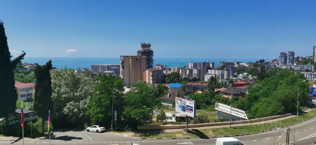 2-к кв. Краснодарский край, Сочи Виноградная ул., 224/6 (34.0 м) - Фото 0