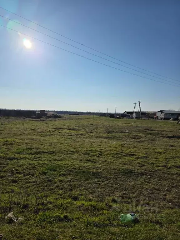 Участок в Крым, Ленинский район, с. Калиновка ул. Южная, 52 (17.0 ... - Фото 1