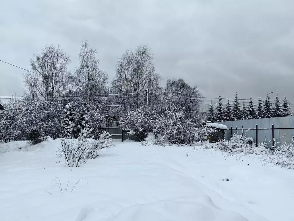 Участок в Московская область, Пушкинский городской округ, д. Талицы  ... - Фото 1