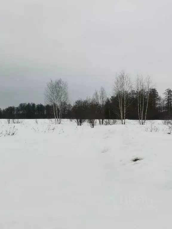 Участок в Московская область, Орехово-Зуевский городской округ, д. ... - Фото 1