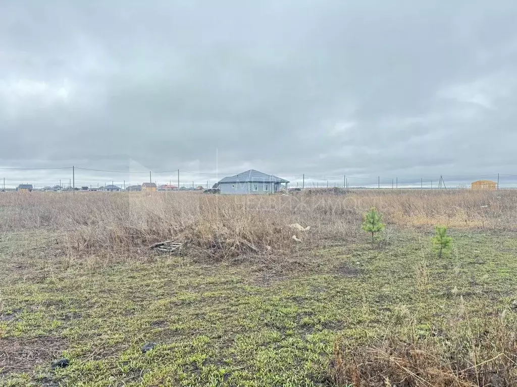 Участок в Тюменская область, Тюменский район, д. Дударева ул. ... - Фото 2