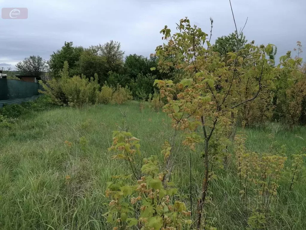 Дом в Воронежская область, Хохольское городское поселение, с. Еманча ... - Фото 1