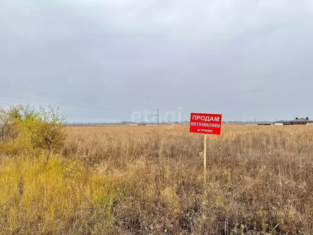 Участок в Воронежская область, с. Новая Усмань ул. Крымская, 10 (8.0 ... - Фото 0