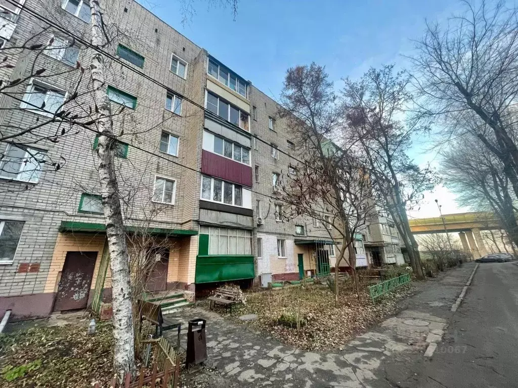 2-к кв. Воронежская область, Воронеж ул. Димитрова, 136 (54.3 м) - Фото 1