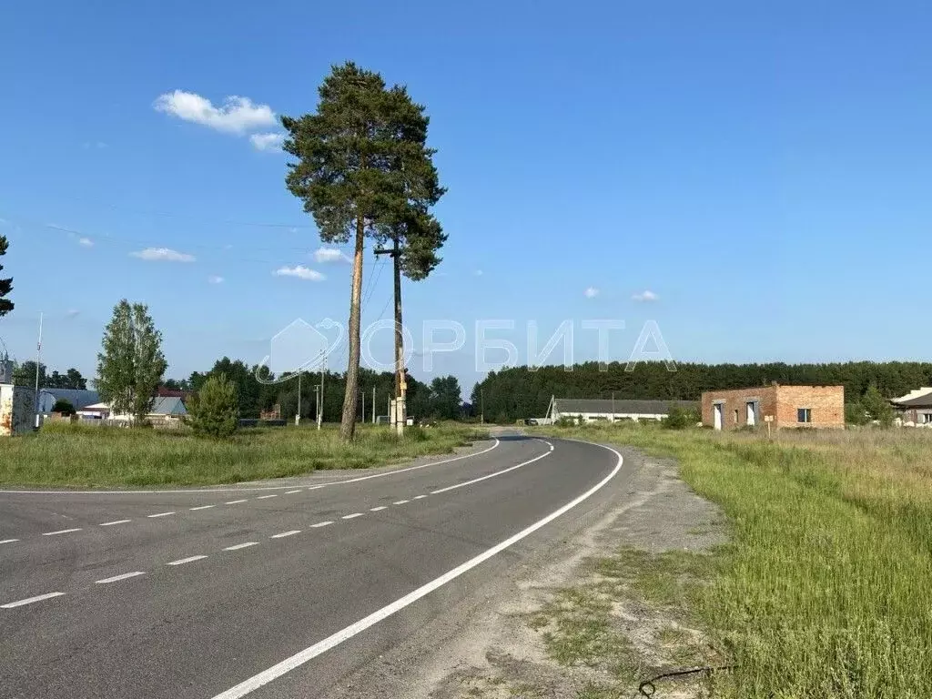 Участок в Тюменская область, Тюменский район, д. Криводанова  (15.6 ... - Фото 0