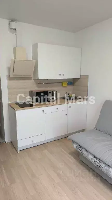 1-к кв. Москва ул. Саларьевская, 10к2 (20.0 м) - Фото 0