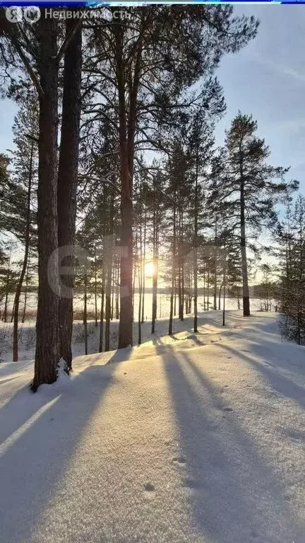 Участок в Нижегородская область, муниципальный округ Навашинский, село ... - Фото 2
