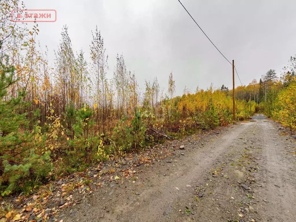 Участок в Карелия, Петрозаводск проезд Ясеневый (12.5 сот.) - Фото 0