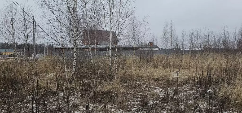 Участок в Московская область, Луховицы муниципальный округ, пос. ... - Фото 1