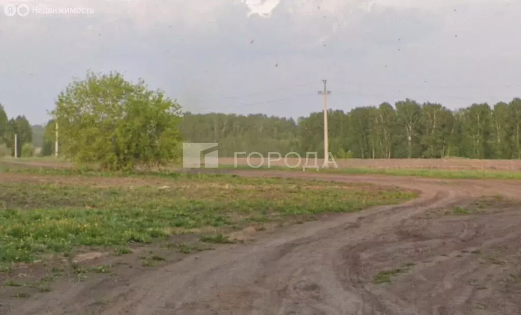 Участок в Новосибирский район, Берёзовский сельсовет, ТСН Тандем, ... - Фото 0