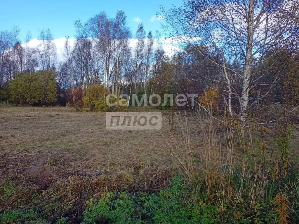 Участок в Псковская область, Псков пос. Панино, Заречная ул. (10.0 ... - Фото 2