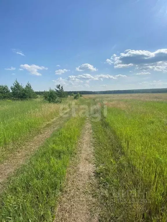 Участок в Челябинская область, Сосновский район, Солнечное с/пос, пос. ... - Фото 1