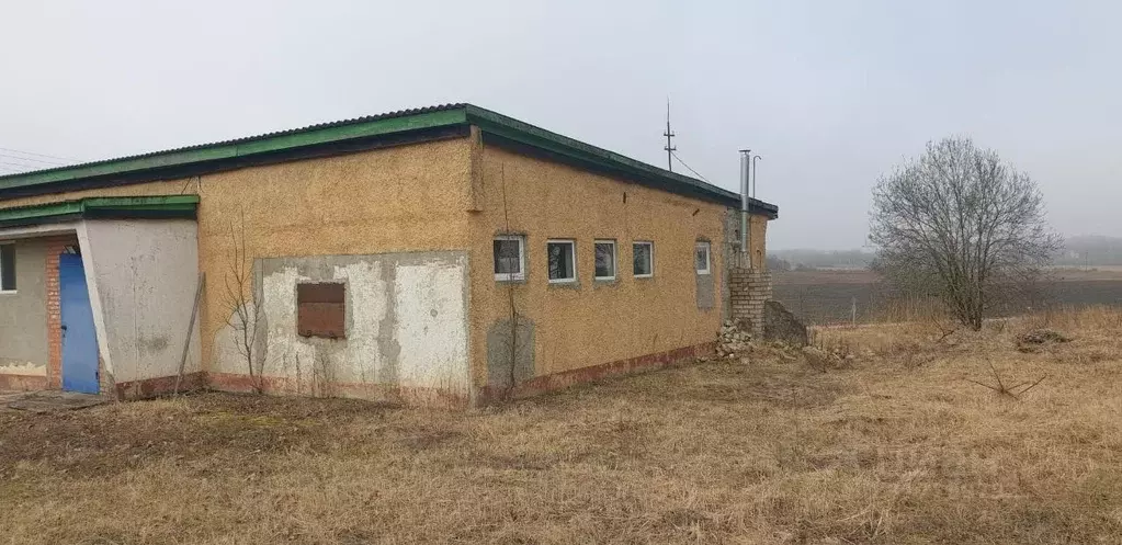 Помещение свободного назначения в Смоленская область, Краснинский ... - Фото 2