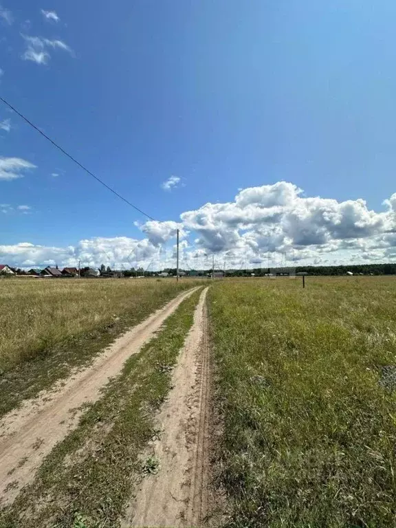 Участок в Новосибирская область, Ордынский район, д. Новый Шарап ... - Фото 1