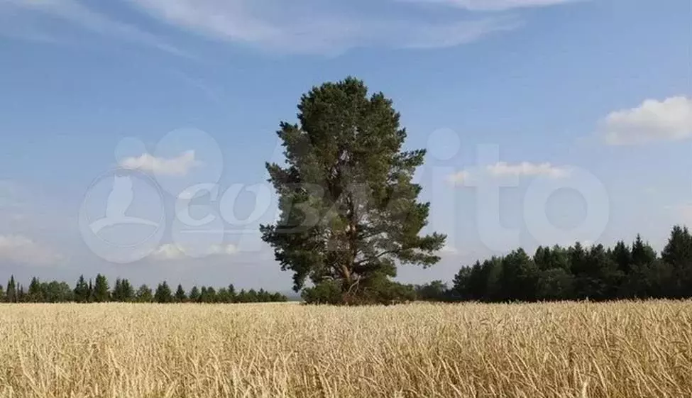 Участок 7,6 сот. (ИЖС) - Фото 0