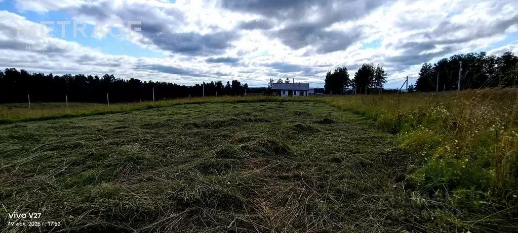 Участок в Новосибирская область, Новосибирский район, Раздольненский ... - Фото 2
