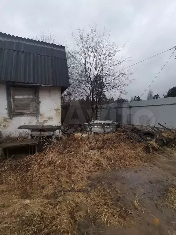 Дом 28 м на участке 6 сот. - Фото 1