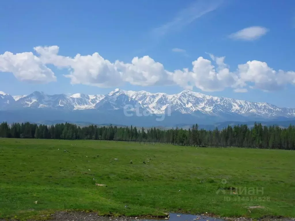 Участок в Алтай, Кош-Агачский район, с. Курай Зеленая ул. (206.1 сот.) - Фото 0