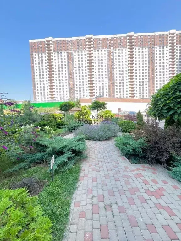 Студия Краснодарский край, Новороссийск Мысхакское ш., 59 (29.53 м) - Фото 2