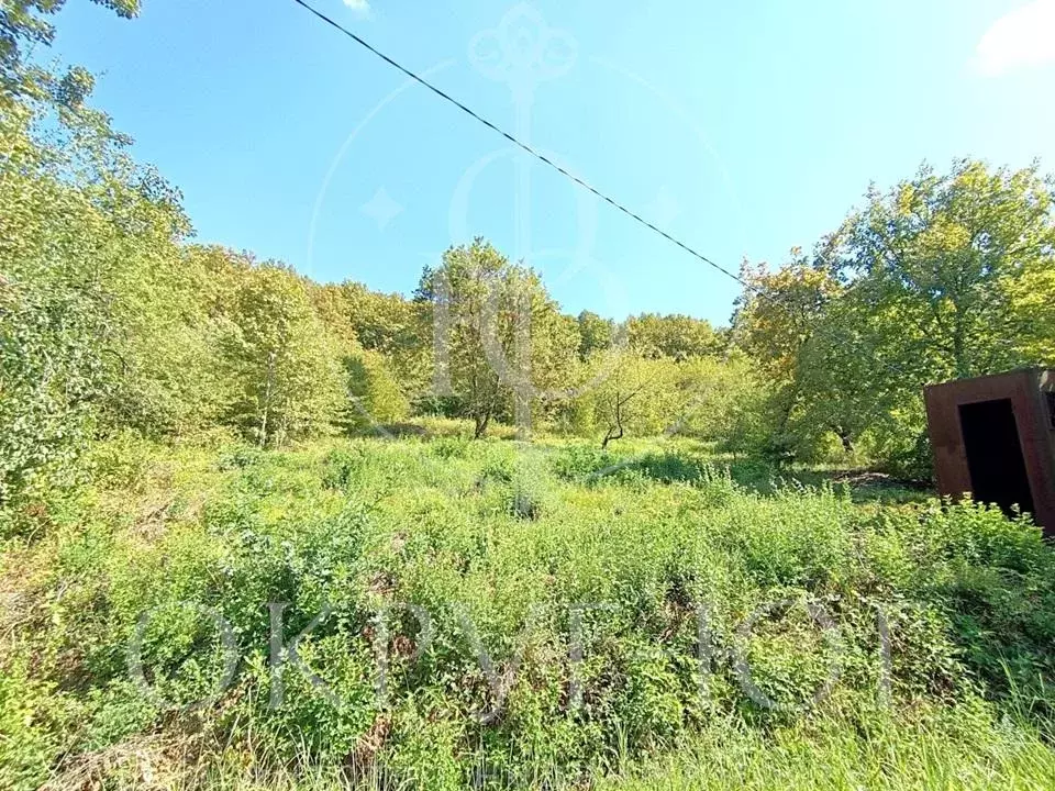 Участок, 6.3 сот., сельхоз (снт или днп) - Фото 2