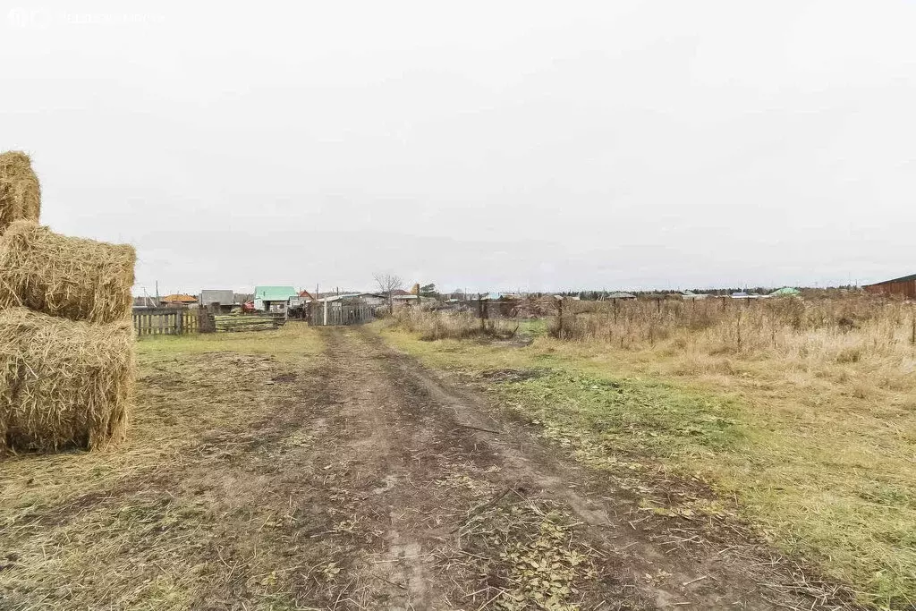 Участок в Тюменская область, Нижнетавдинский муниципальный округ, ... - Фото 2