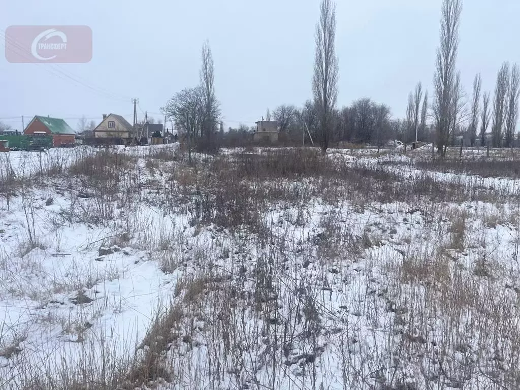 Участок в Воронежская область, с. Каширское пл. Центральная (15.0 ... - Фото 0