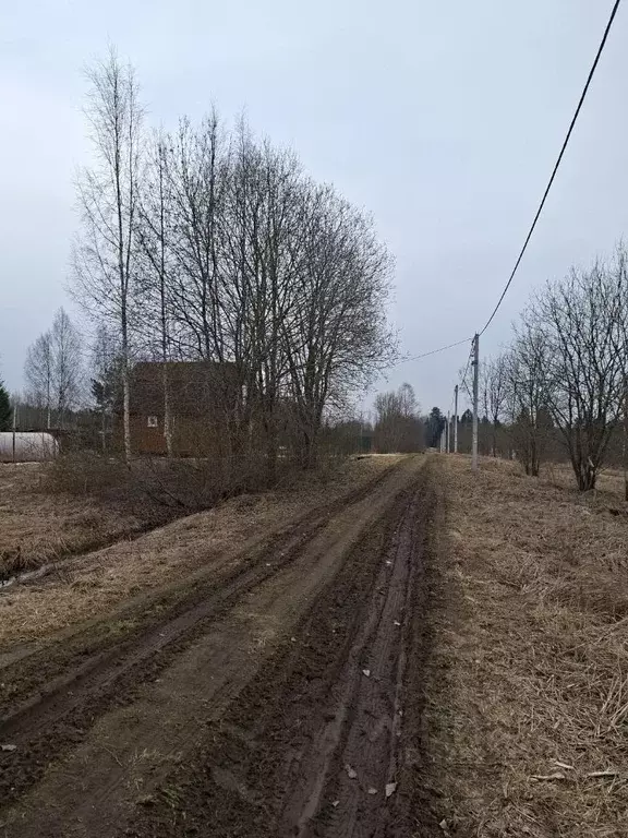 Участок в Ленинградская область, Тосненский район, Нурминское с/пос, ... - Фото 2
