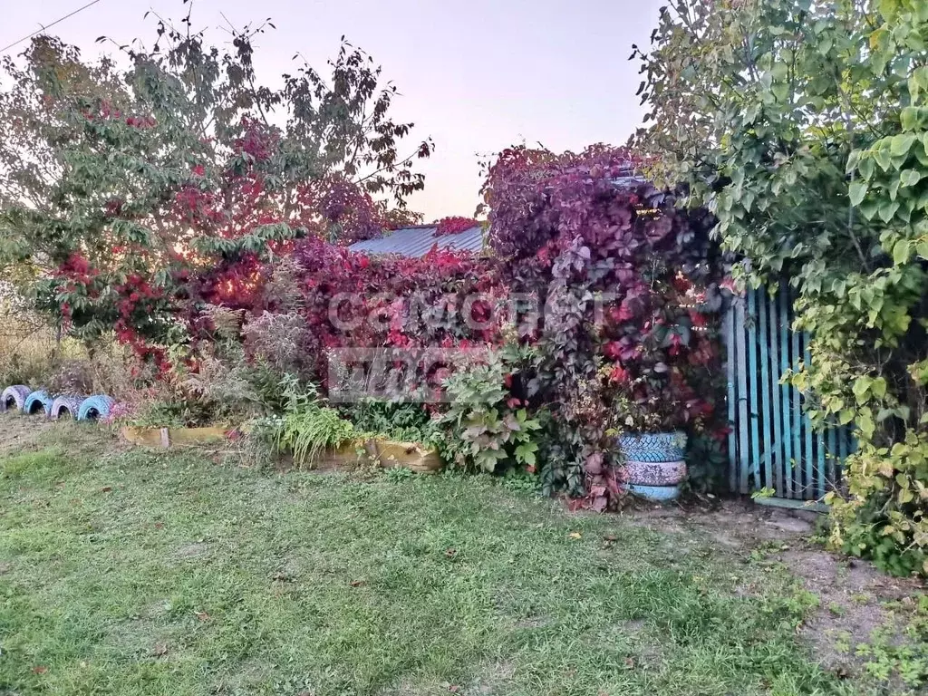 Участок в Калужская область, Калуга городской округ, с. Росва  (5.5 ... - Фото 2