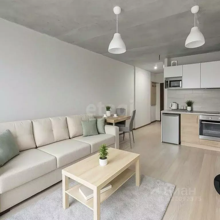 Студия Удмуртия, Ижевск ул. Ключевой Поселок, 23литА (29.45 м) - Фото 2