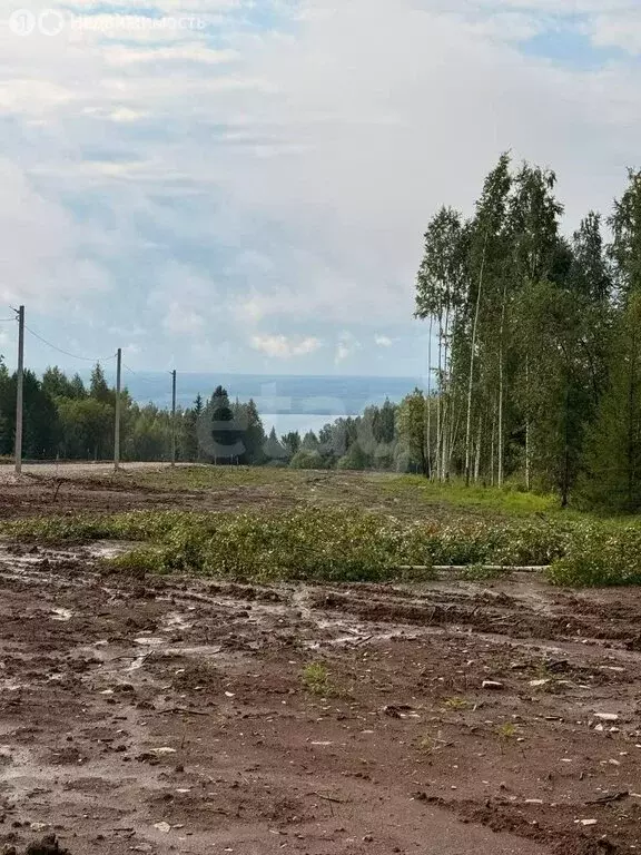Участок в Пермский край, Добрянский муниципальный округ, деревня Бобки ... - Фото 2