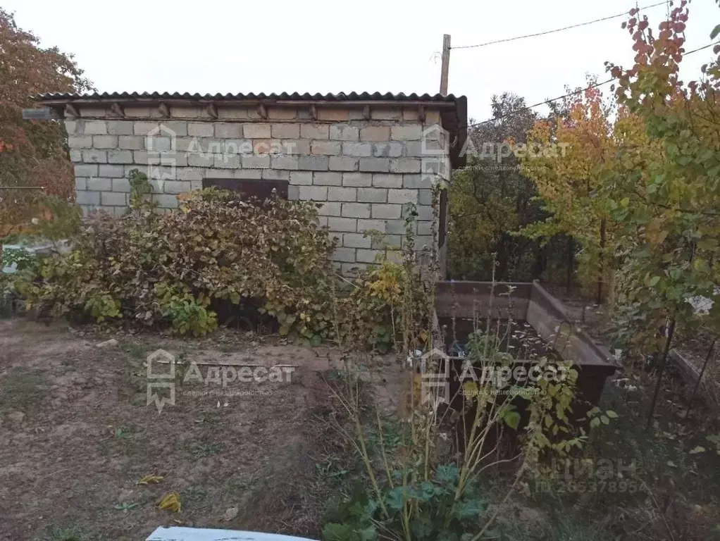Дом в Волгоградская область, Волгоград Мичуринец СНТ, 11 (25 м) - Фото 1