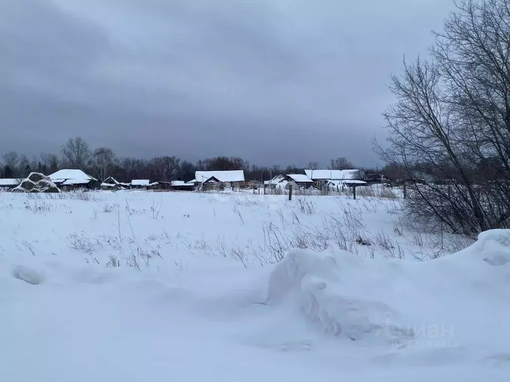 Участок в Алтайский край, Первомайский район, пос. Покровка ул. ... - Фото 1