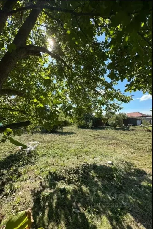 Участок в Краснодарский край, Анапа муниципальный округ, с. ... - Фото 1