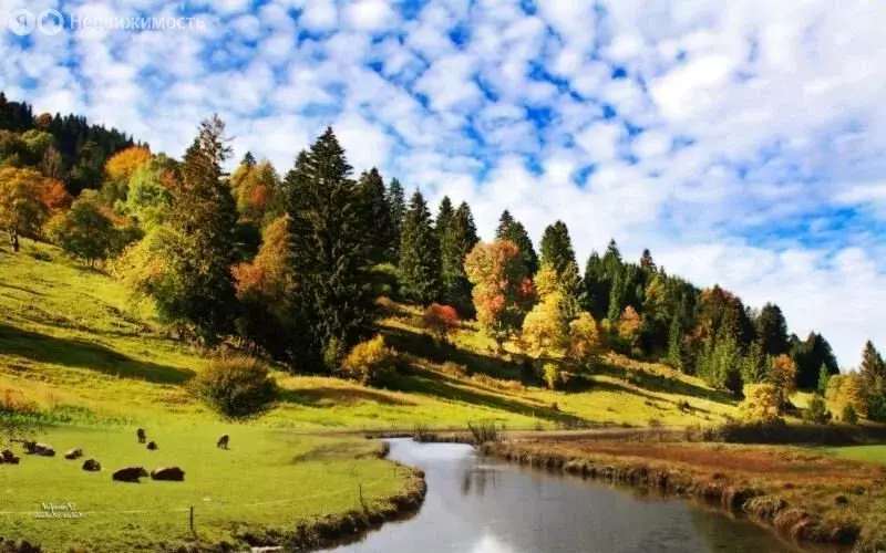 Участок в Заокский район, сельское поселение Страховское (2940 м) - Фото 0