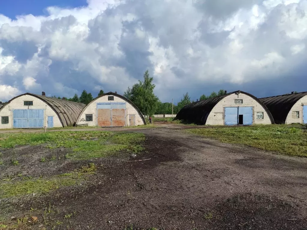 Производственное помещение в Псковская область, Псков ул. Николая ... - Фото 1